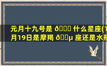 元月十九号是 🐅 什么星座(1月19日是摩羯 🐵 座还是水瓶座)